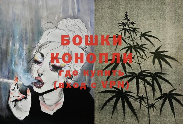 стафф Надым