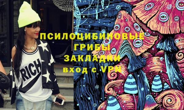 стафф Надым