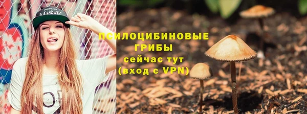 стафф Надым
